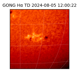 gong - 2024-08-05T12:00:22
