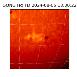gong - 2024-08-05T13:00:22