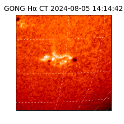 gong - 2024-08-05T14:14:42