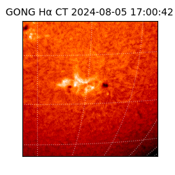 gong - 2024-08-05T17:00:42
