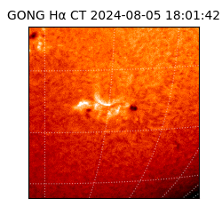 gong - 2024-08-05T18:01:42