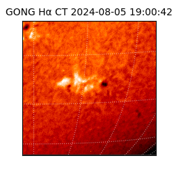 gong - 2024-08-05T19:00:42