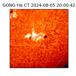 gong - 2024-08-05T20:00:42