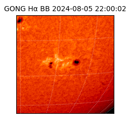 gong - 2024-08-05T22:00:02