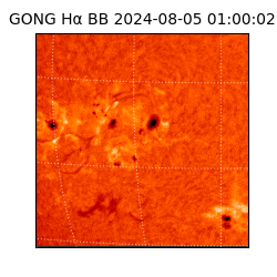 gong - 2024-08-05T01:00:02