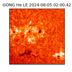 gong - 2024-08-05T02:00:42