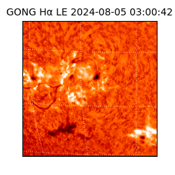 gong - 2024-08-05T03:00:42