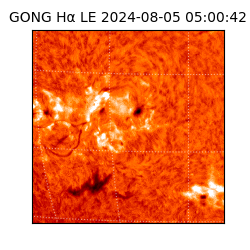 gong - 2024-08-05T05:00:42