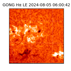 gong - 2024-08-05T06:00:42