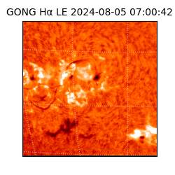 gong - 2024-08-05T07:00:42