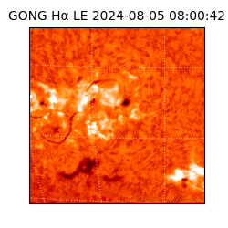 gong - 2024-08-05T08:00:42