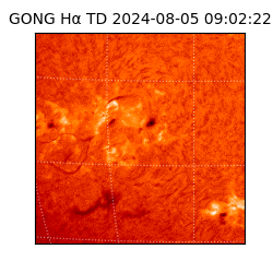 gong - 2024-08-05T09:02:22