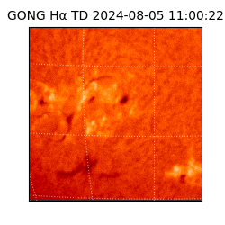 gong - 2024-08-05T11:00:22