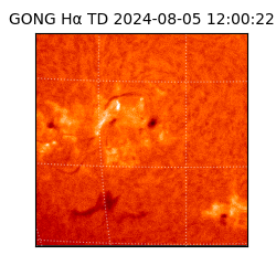 gong - 2024-08-05T12:00:22