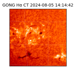 gong - 2024-08-05T14:14:42