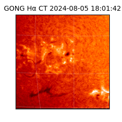 gong - 2024-08-05T18:01:42