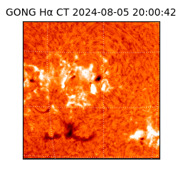 gong - 2024-08-05T20:00:42