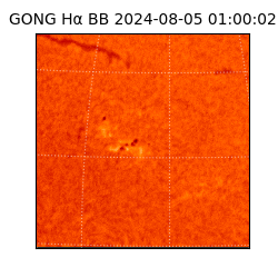gong - 2024-08-05T01:00:02
