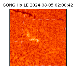 gong - 2024-08-05T02:00:42