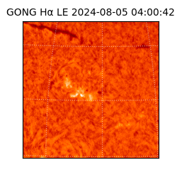 gong - 2024-08-05T04:00:42