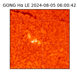 gong - 2024-08-05T06:00:42