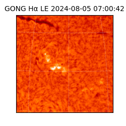 gong - 2024-08-05T07:00:42