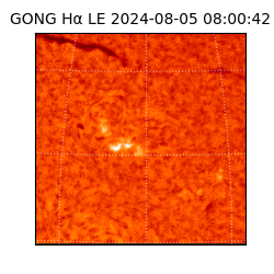 gong - 2024-08-05T08:00:42