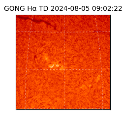 gong - 2024-08-05T09:02:22