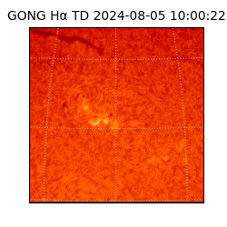 gong - 2024-08-05T10:00:22