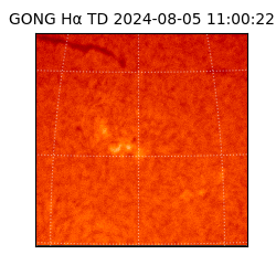 gong - 2024-08-05T11:00:22