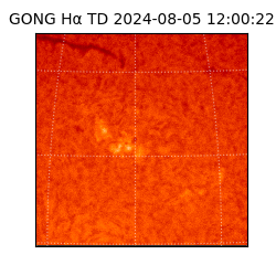 gong - 2024-08-05T12:00:22