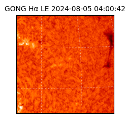 gong - 2024-08-05T04:00:42