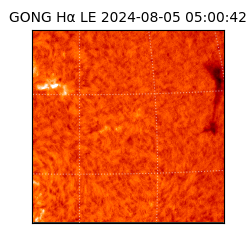 gong - 2024-08-05T05:00:42