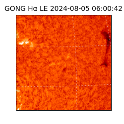 gong - 2024-08-05T06:00:42
