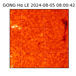 gong - 2024-08-05T08:00:42