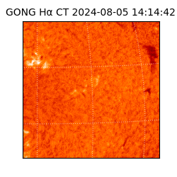 gong - 2024-08-05T14:14:42