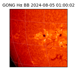 gong - 2024-08-05T01:00:02