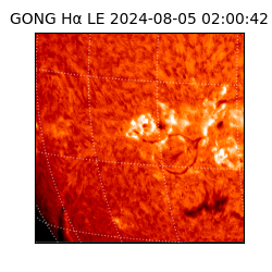 gong - 2024-08-05T02:00:42