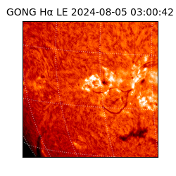 gong - 2024-08-05T03:00:42