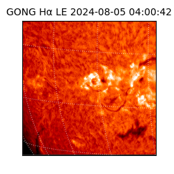 gong - 2024-08-05T04:00:42