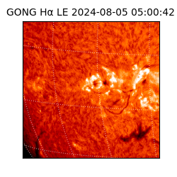 gong - 2024-08-05T05:00:42