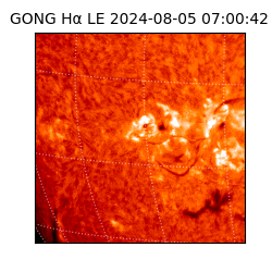 gong - 2024-08-05T07:00:42