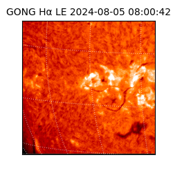 gong - 2024-08-05T08:00:42