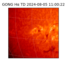 gong - 2024-08-05T11:00:22