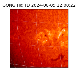 gong - 2024-08-05T12:00:22