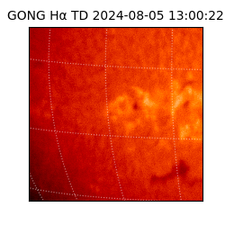 gong - 2024-08-05T13:00:22