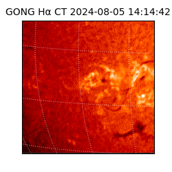 gong - 2024-08-05T14:14:42