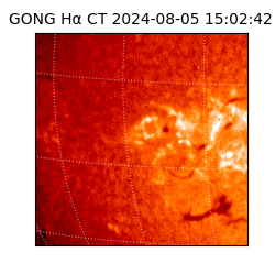 gong - 2024-08-05T15:02:42