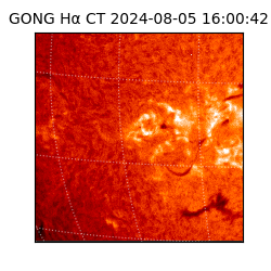 gong - 2024-08-05T16:00:42