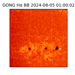 gong - 2024-08-05T01:00:02